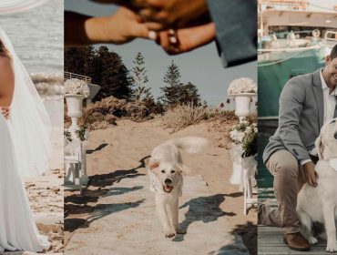 Weddings with your Fur Baby | Dog of Honour