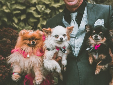 Making your pet a part of your wedding